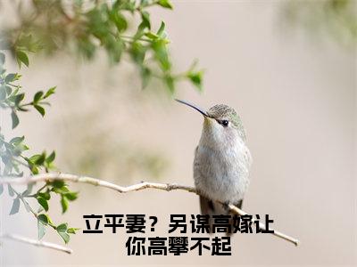 立平妻？另谋高嫁让你高攀不起（赵如云陆景钰）全文免费阅读_立平妻？另谋高嫁让你高攀不起（赵如云陆景钰）章节免费阅读-笔趣阁