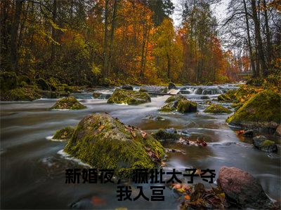 新婚夜，疯批太子夺我入宫（姜容音姜昀）最新免费阅读-新婚夜，疯批太子夺我入宫小说在线阅读