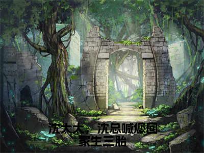 （后续）+（全文）（时予沈淮之）沈太太，沈总喊您回家生三胎精彩小说-时予沈淮之全章节免费阅读