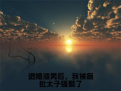 退婚渣男后，我被疯批太子强娶了全集章节小说免费阅读完整版（宋南枝墨北寒）-宋南枝墨北寒小说免费阅读