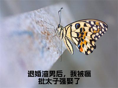 宋南枝墨北寒在线阅读（退婚渣男后，我被疯批太子强娶了）全文免费阅读无弹窗大结局