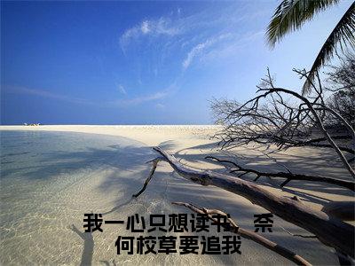 宴嘉许唐糖免费小说（我一心只想读书，奈何校草要追我）全文无弹窗阅读宴嘉许唐糖大结局免费阅读无弹窗