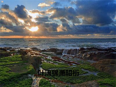 叶流锦萧昭衍（萧昭衍叶流锦）免费全文阅读小说_叶流锦萧昭衍免费在线阅读（萧昭衍叶流锦）小说最新章节列表