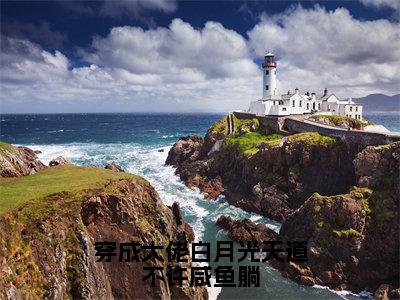 穿成大佬白月光天道不许咸鱼躺小说无弹窗（苏月见南宫漓）全文免费阅读无弹窗大结局_苏月见南宫漓最新章节列表_笔趣阁