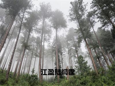 （免费）+（番外）主角是江盈陆闫霆的小说-江盈陆闫霆全文无弹窗免费阅读