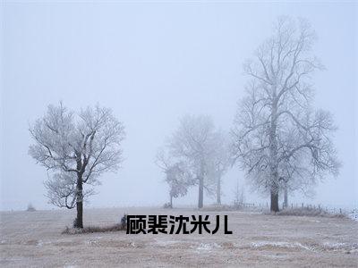 顾裴沈米儿全文免费阅读无弹窗大结局_（沈米儿顾裴免费阅读）顾裴沈米儿最新章节列表_笔趣阁