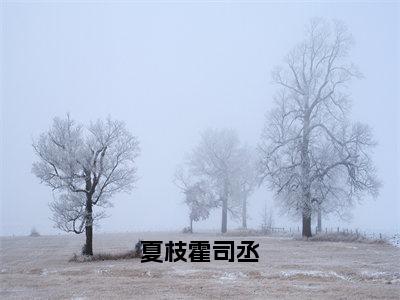 夏枝霍司丞（霍司丞夏枝）爽文小说全文阅读-夏枝霍司丞最新章节更新