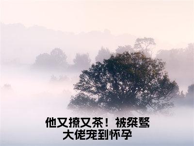 （谢京墨虞之琬）是什么小说-他又撩又茶！被桀骜大佬宠到怀孕（谢京墨虞之琬）免费阅读大结局最新章节列表_笔趣阁