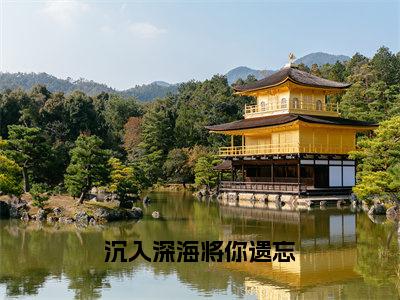 林煜深叶清瑶（沉入深海将你遗忘）全文免费阅读无弹窗大结局_林煜深叶清瑶最新章节列表_笔趣阁（沉入深海将你遗忘）