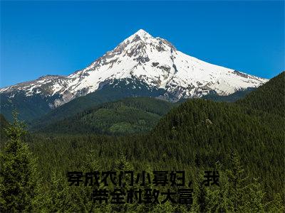 穿成农门小寡妇，我带全村致大富全文（谢柏许樱桃）抖音热推小说全集无删减_谢柏许樱桃免费最新章节列表_笔趣阁