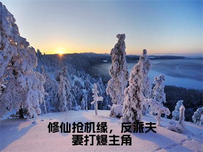 苍凌雪（修仙抢机缘，反派夫妻打爆主角）小说全文免费阅读正版无弹窗修仙抢机缘，反派夫妻打爆主角全文无弹窗阅读