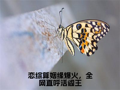 夏漾漾（恋综算姻缘爆火，全网直呼活阎王）全文免费阅读_夏漾漾（恋综算姻缘爆火，全网直呼活阎王）免费在线阅读_笔趣阁