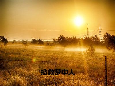 鲍雨峰庞小雨小说拯救梦中人完整版阅读拯救梦中人全文在线赏析