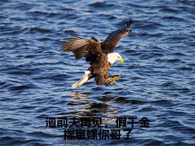 渣前夫再见，假千金揣崽嫁你哥了南知意裴西洲全文小说-渣前夫再见，假千金揣崽嫁你哥了小说最新章节免费阅读