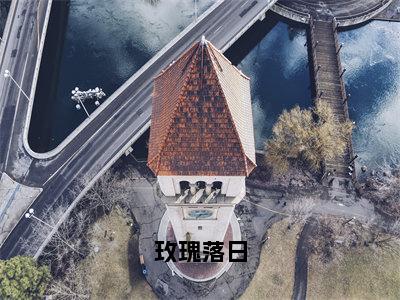 林隽姜晚夏（玫瑰落日）全文免费阅读大结局_林隽姜晚夏（玫瑰落日）免费在线阅读无删减_笔趣阁