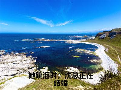 她跳海时，沈总正在结婚小说（沈墨瑾白楚楚）全文免费阅读结局-她跳海时，沈总正在结婚强推全文阅读无弹窗