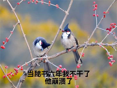 【新书】《当秘书六年我不干了他崩溃了》全文免费阅读无弹窗大结局-温栩之顾寒宴全章节免费阅读