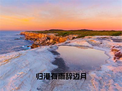 归港有雨辞边月小说沈津辞边月大结局阅读-新上热文小说归港有雨辞边月（沈津辞边月）讲的是什么