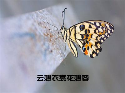 云想衣裳花想容小说免费阅读云裳墨璟晔免费阅读无弹窗小说