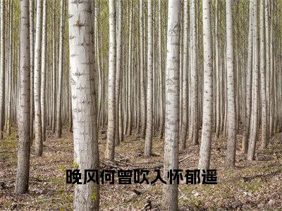 【新书】《晚风何曾吹入怀郁遥》全文免费阅读最新章节大结局-柯寒珩郁遥全文全章节免费阅读