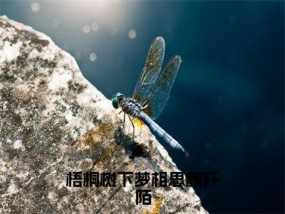 何以笙颜阡陌（梧桐树下梦相思颜阡陌最新全章节大结局）全文阅读