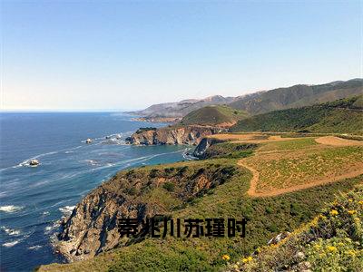 秦兆川苏瑾时（秦兆川苏瑾时）全文免费阅读无弹窗大结局_秦兆川苏瑾时最新章节列表（秦兆川苏瑾时）