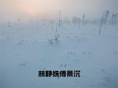 林静姝傅景沉（林静姝傅景沉）免费小说全文完整版-林静姝傅景沉最新章节完整版阅读