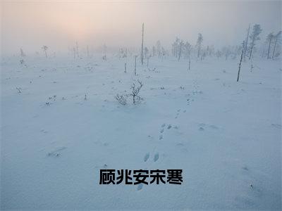 顾兆安宋寒（顾兆安宋寒）全文免费阅读无弹窗大结局_（顾兆安宋寒全文阅读）顾兆安宋寒无弹窗最新章节列表