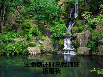 生命倒计时总裁疯狂折磨我全文免费阅读大结局_生命倒计时总裁疯狂折磨我（顾博宴顾雨筠）完整版在线赏析