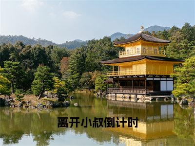 离开小叔倒计时（林月江祁霖）全文免费阅读无弹窗大结局_林月江祁霖最新章节列表