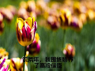 饥荒年，我囤货娇养了高冷佞臣（唐恒阮月全章节完整版）免费阅读_（唐恒阮月）饥荒年，我囤货娇养了高冷佞臣全文无删减免费阅读