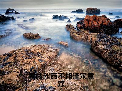 春枝秋雨不相逢宋意欢（傅祈年宋意欢）免费全文阅读小说_傅祈年宋意欢最新章节列表-笔趣阁（春枝秋雨不相逢宋意欢）