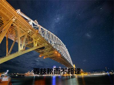 春枝秋雨不相逢免费小说（宋意欢傅祈年）全本免费阅读-春枝秋雨不相逢最新章节列表