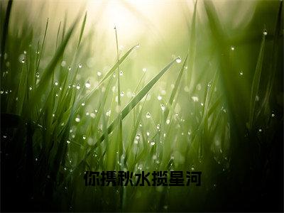 叶繁星骆时逸小说（你携秋水揽星河）全文免费阅读_（你携秋水揽星河）叶繁星骆时逸小说最新章节列表