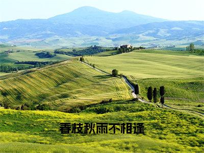 春枝秋雨不相逢全文免费阅读大结局-（傅祈年宋意欢）最新章节列表在线阅读