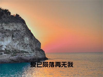 爱已陨落再无我（林曦苏凉）全文在线阅读无弹窗大结局_（爱已陨落再无我在线阅读）最新章节列表_笔趣阁