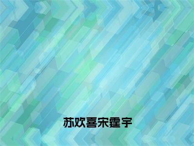 苏欢喜宋霆宇小说全文免费阅读_苏欢喜宋霆宇（苏欢喜宋霆宇）最新章节列表在线阅读