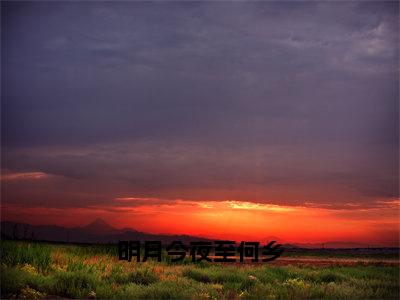 许青澜纪行樾小说（明月今夜至何乡）免费阅读_许青澜纪行樾小说免费阅读-笔趣阁