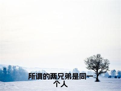 所谓的两兄弟是同一个人（温辞烟顾宣珩）小说小说全集温辞烟顾宣珩无删减在线阅读