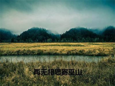 再无相思寄巫山（蒋忆薇薄兴肆）全文在线阅读无弹窗大结局_（再无相思寄巫山在线阅读）最新章节列表_笔趣阁