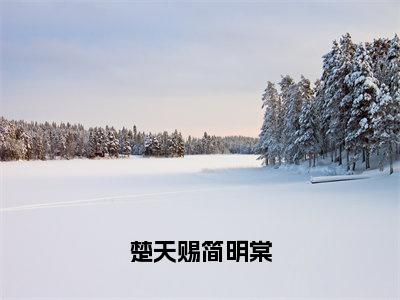 楚天赐简明棠小说（简明棠楚天赐）全文免费阅读无弹窗大结局_楚天赐简明棠小说免费阅读_笔趣阁（简明棠楚天赐小说）