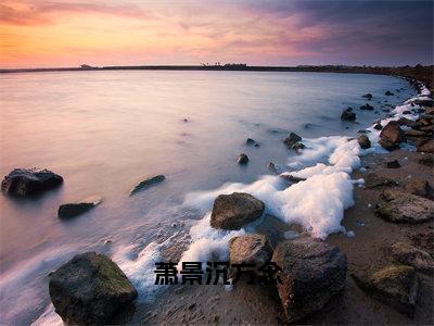 萧景沉方念方念萧景沉小说全文免费阅读无弹窗大结局_（方念萧景沉）最新章节列表笔趣阁