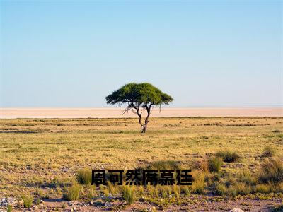 周可然席慕廷（周可然席慕廷）全文免费阅读-周可然席慕廷（周可然席慕廷）全章节完整版在线阅读