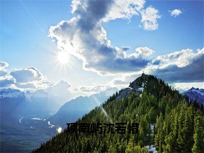 沈若惜项南屿（项南屿沈若惜）完整版小说阅读-沈若惜项南屿小说（项南屿沈若惜）精彩免费试读