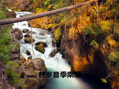 林岁音季南檀高赞小说（林岁音季南檀）完结阅读_林岁音季南檀全文完整版免费阅读最新章节列表林岁音季南檀（番外+免费）