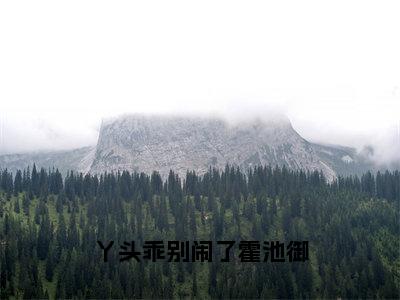 丫头乖别闹了霍池御（苏棠）热门免费小说-苏棠（丫头乖别闹了霍池御）精彩小说全文赏析