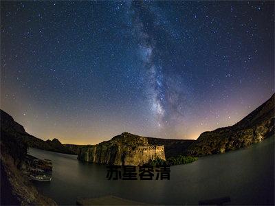 苏星容清小说（苏星容清）全文免费阅读无弹窗大结局_（苏星容清）小说章节列表（苏星容清）