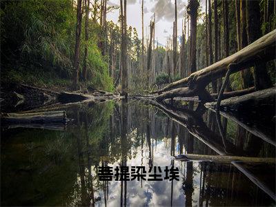 宁郁景正卿小说（菩提染尘埃）全文免费阅读无弹窗大结局_菩提染尘埃最新章节列表_笔趣阁（宁郁景正卿）