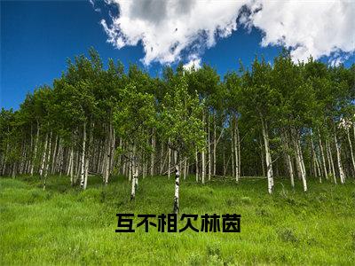 （热推新书）《互不相欠林茵》林茵无弹窗阅读_互不相欠林茵最新章节列表_笔趣阁