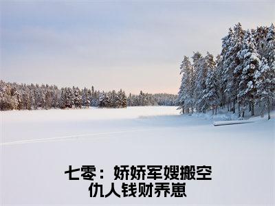 陆怀景唐菀全文免费阅读大结局七零：娇娇军嫂搬空仇人钱财养崽最新章节列表